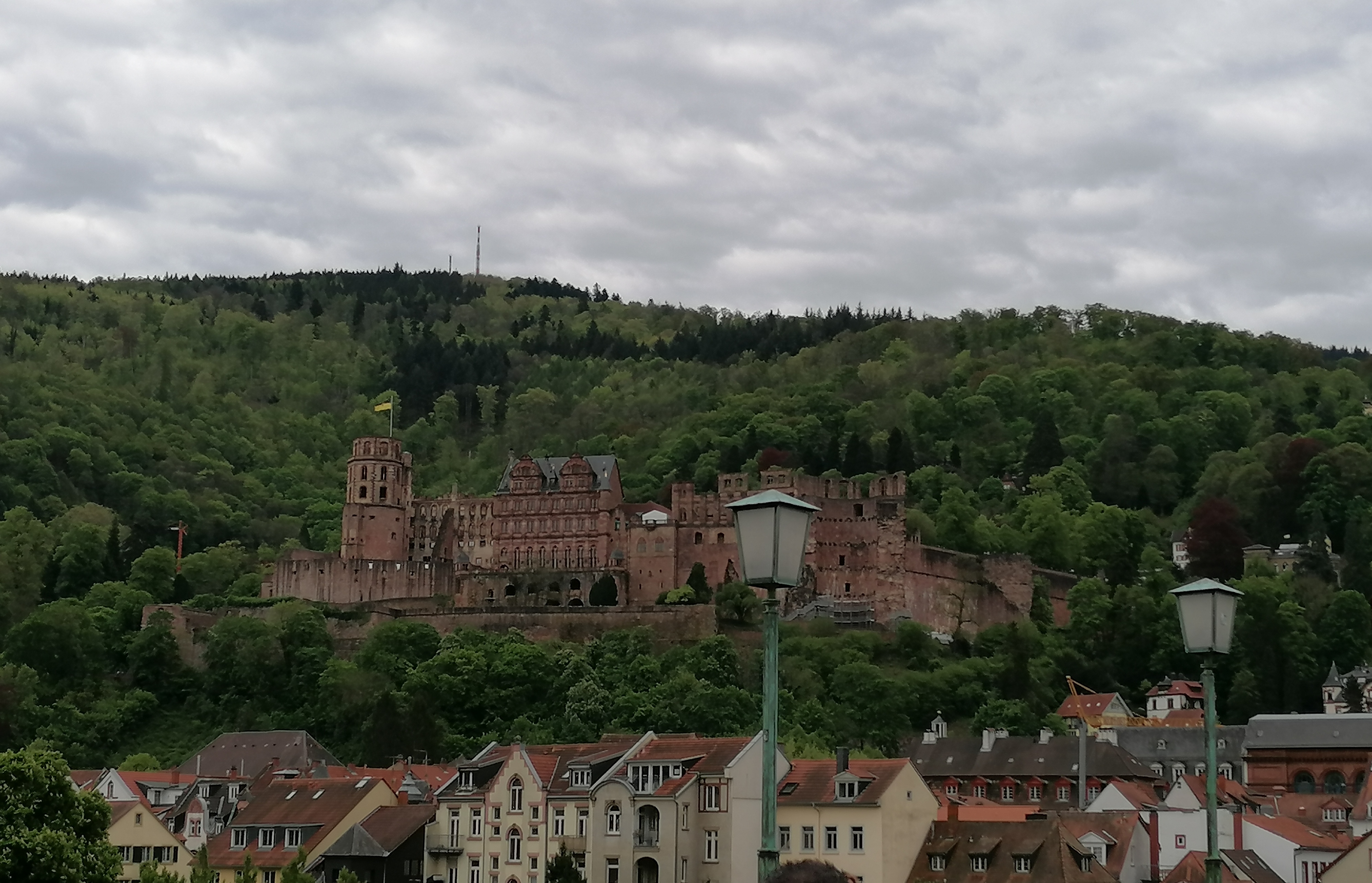 Heidelberg 1