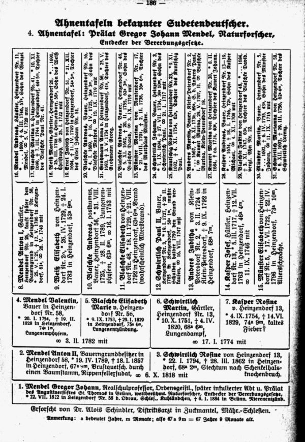 Ahnentafeln bekannter Sudetendeutscher: Gregor Mendel