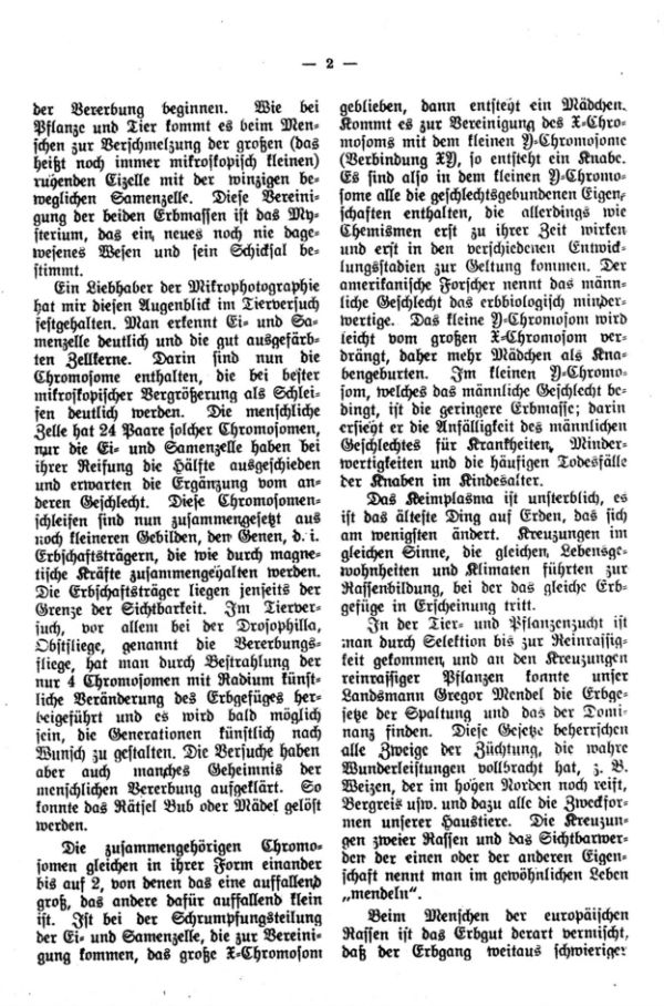 Die Frage der Verrerbung, der tiefste Sinn der Familienforschung - 2