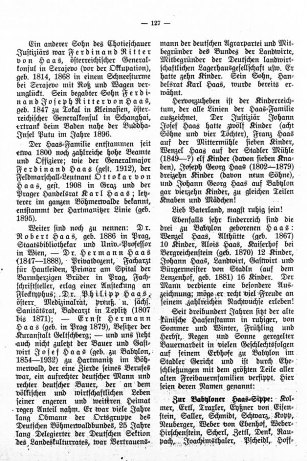 Das Hasennest. Familiengeschichtliches von Josef Blau, Neuern - 2