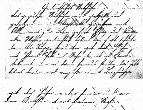 Rezept 'Gedünstetes Rebhuhn'