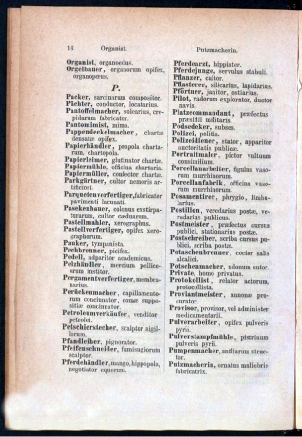 Teil 1 Deutsch - Latein / von 'Organist' bis 'Putzmacherin'